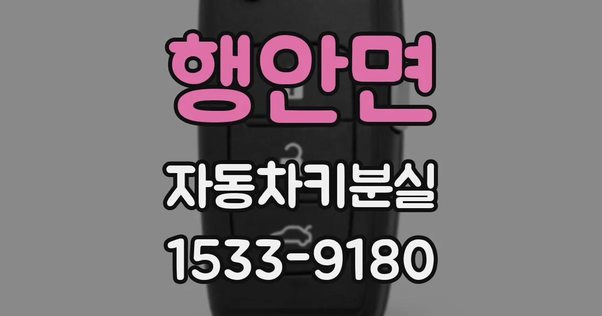 행안면 자동차키분실