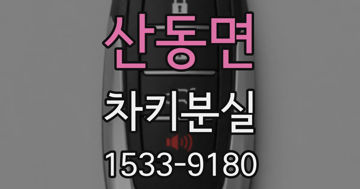 산동면 차키분실