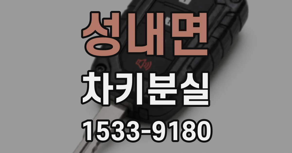 성내면 차키분실