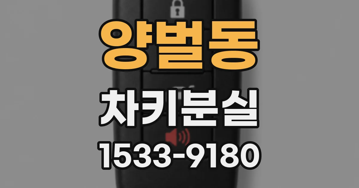 양벌동 차키분실