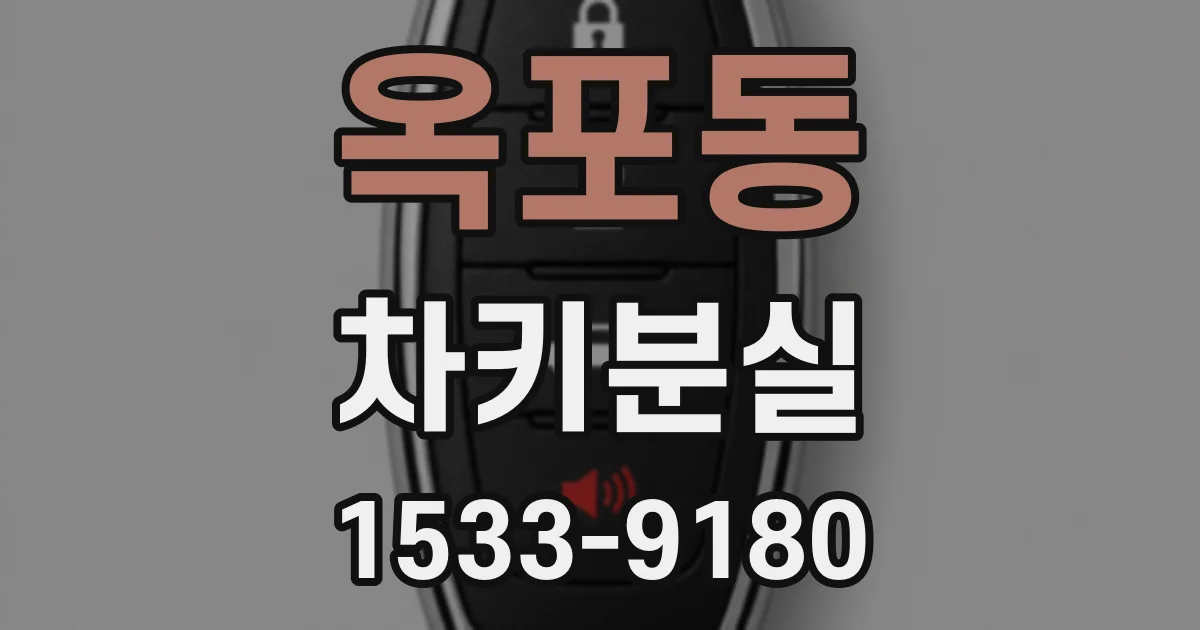 옥포동 차키분실