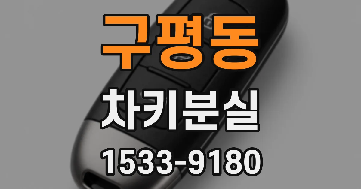구평동 차키분실