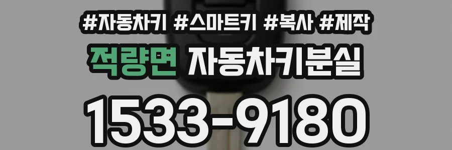 적량면 자동차키분실