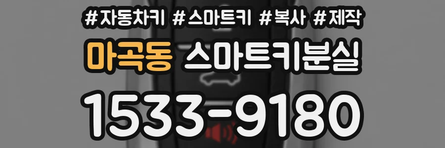 마곡동 스마트키분실
