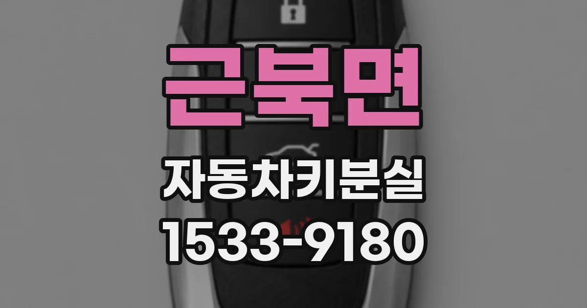 근북면 자동차키분실