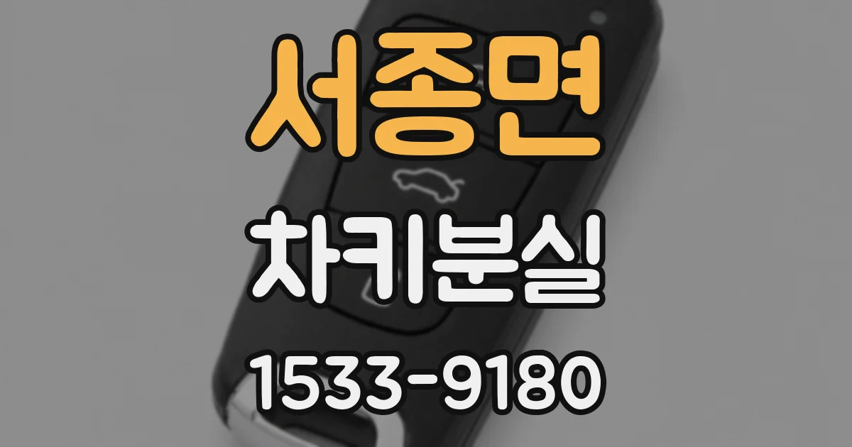 서종면 차키분실