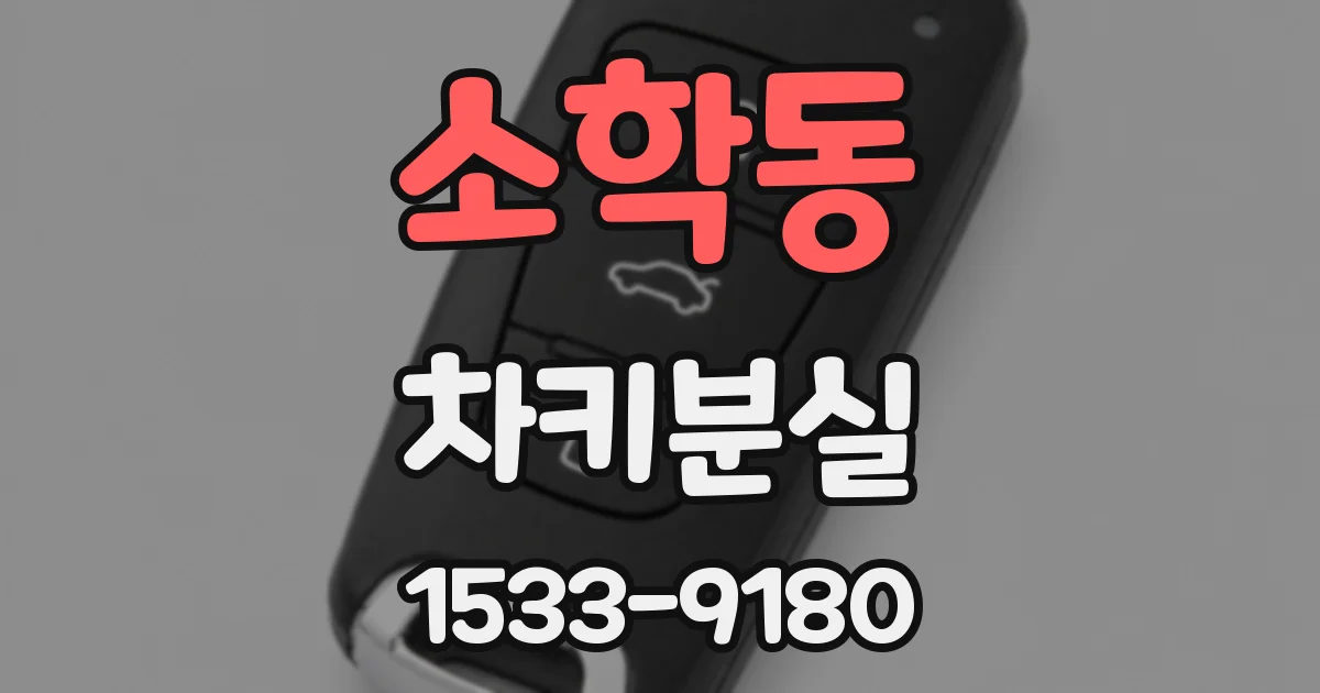 소학동 차키분실