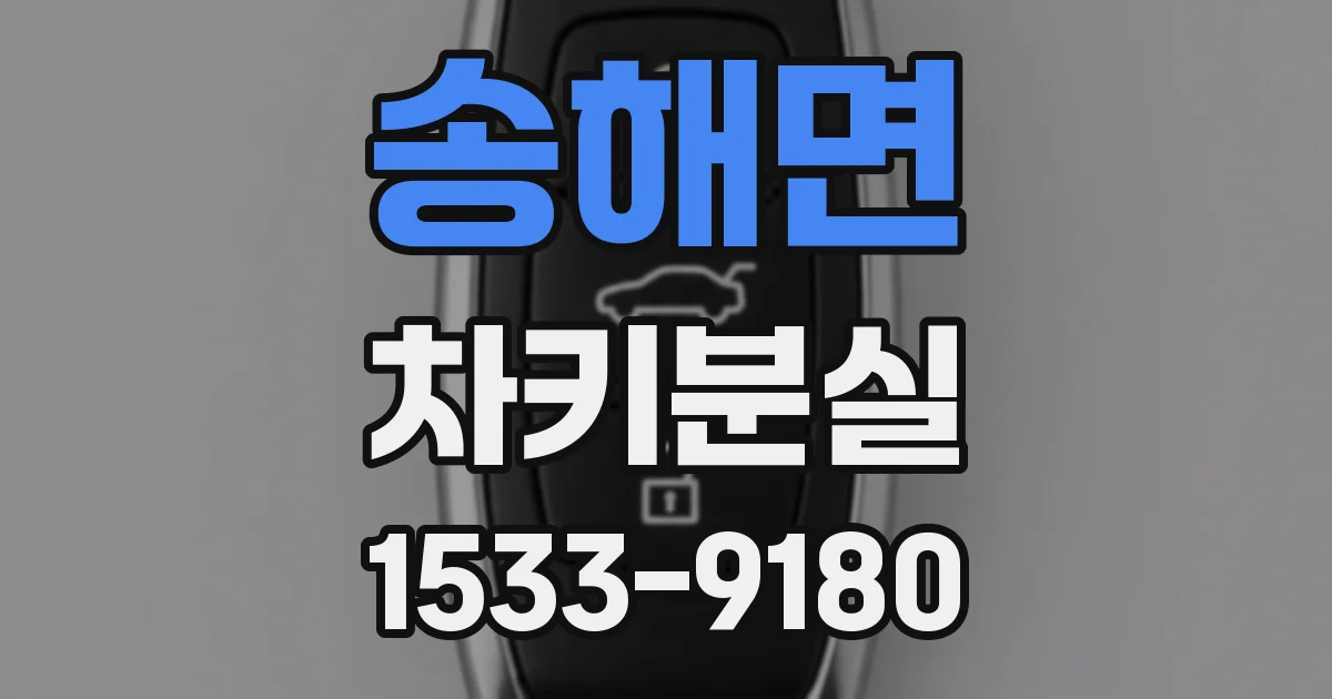 송해면 차키분실