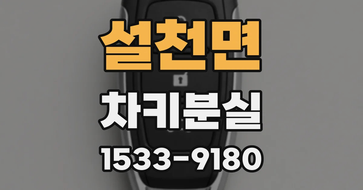 설천면 차키분실