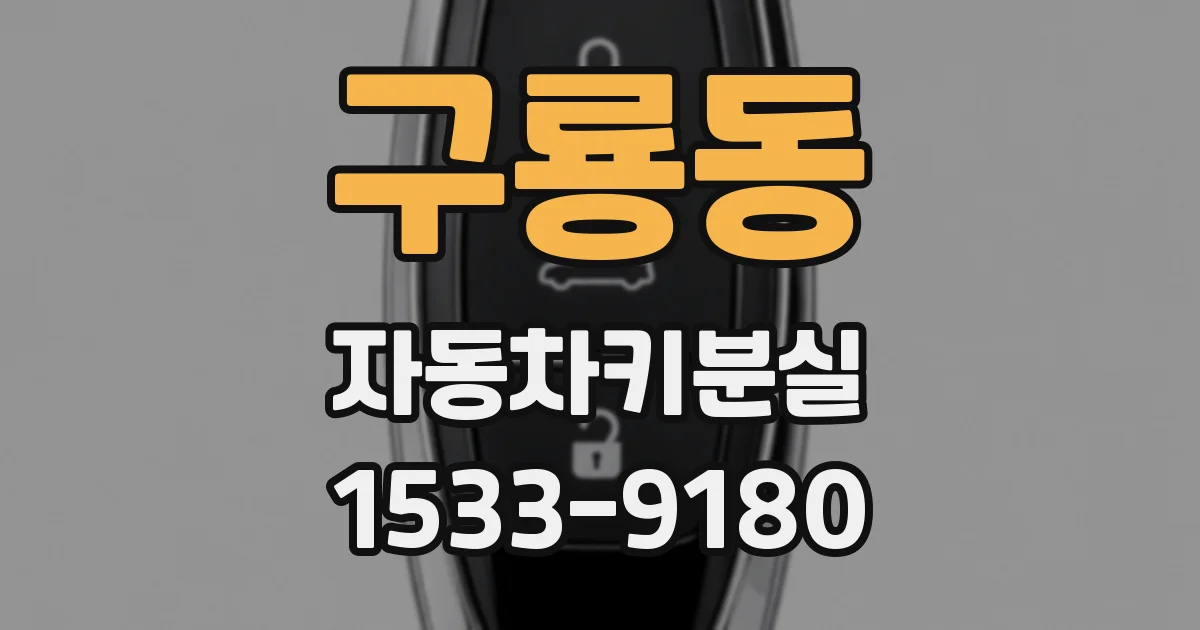 구룡동 자동차키분실