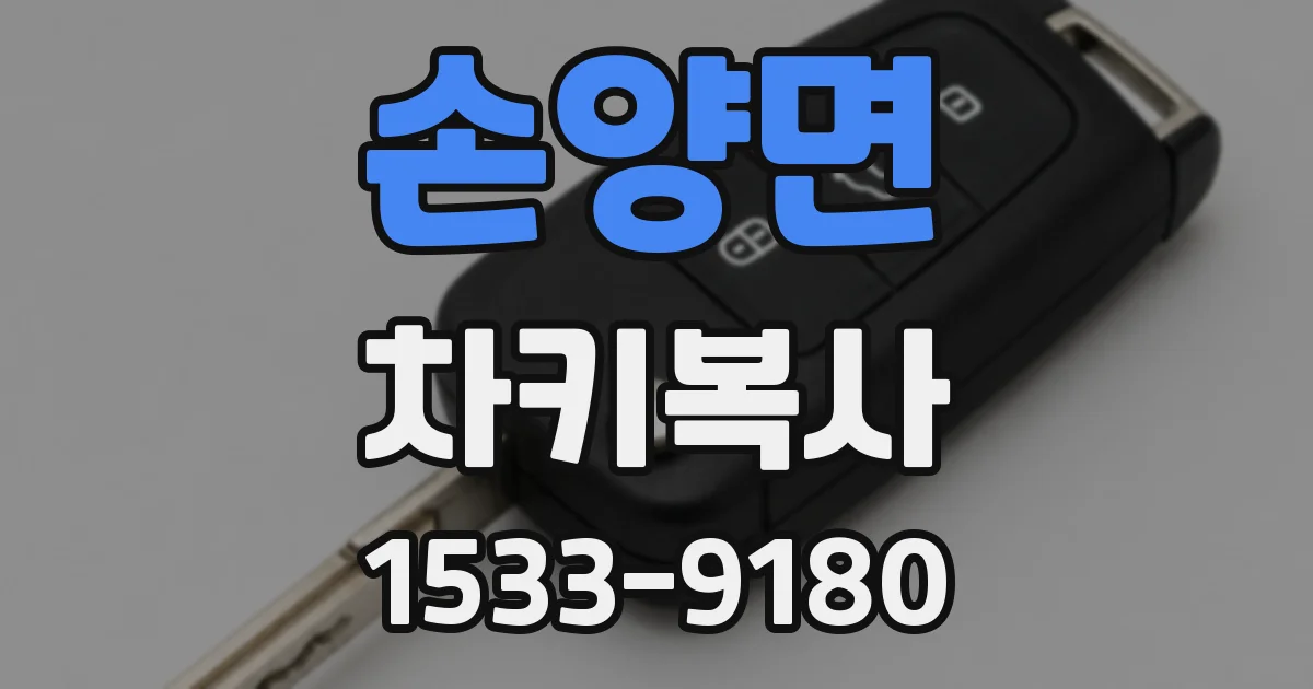손양면 차키복사