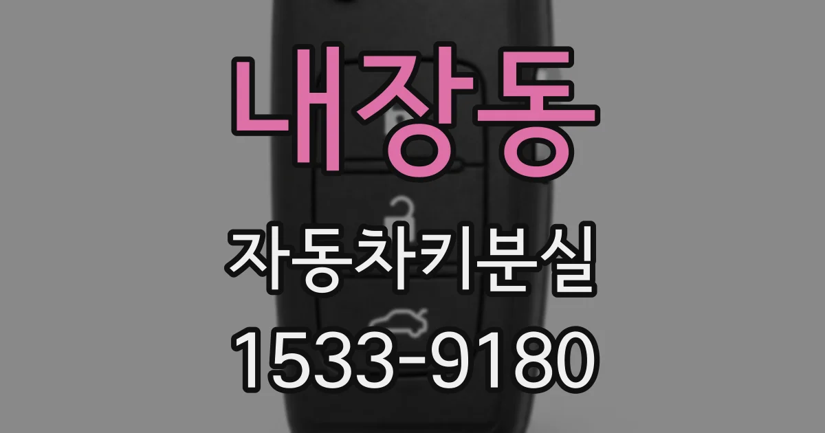 내장동 자동차키분실