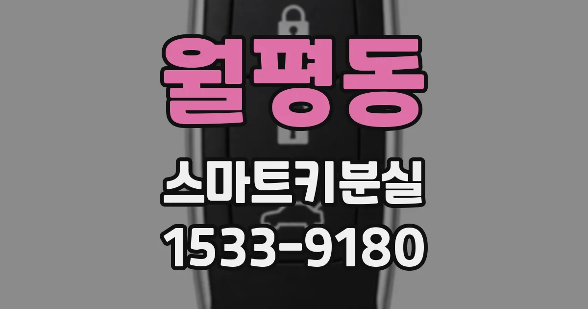 월평동 스마트키분실