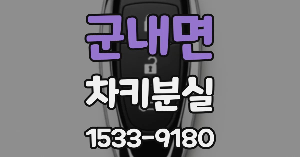 군내면 차키분실