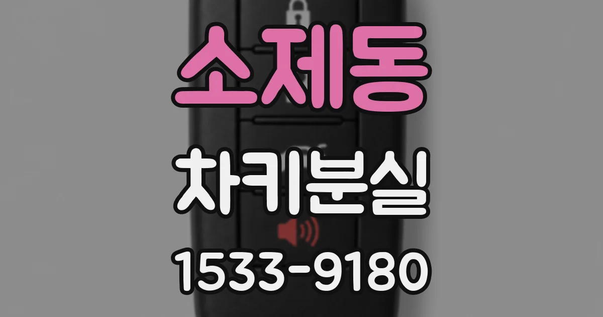 소제동 차키분실