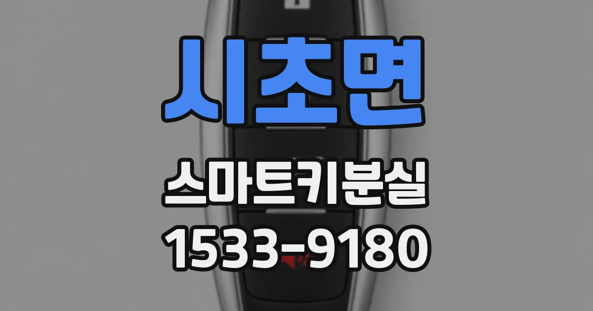 시초면 스마트키분실