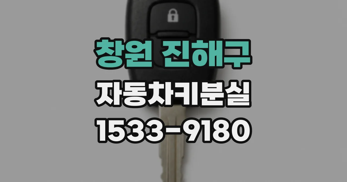 창원 진해구 자동차키분실