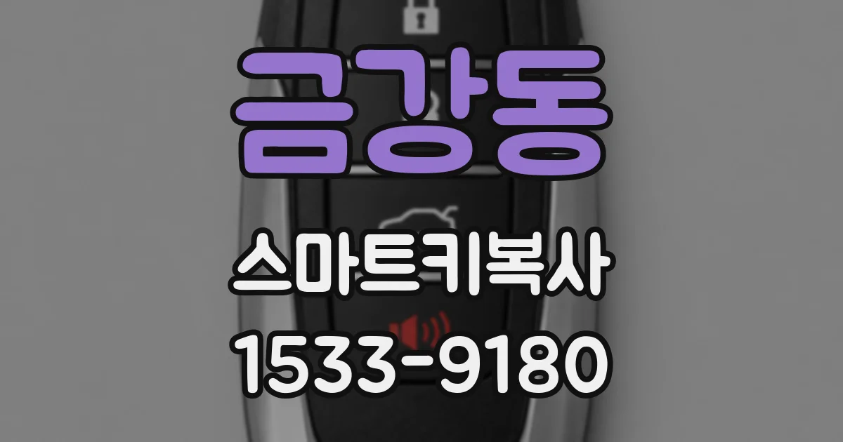 금강동 스마트키복사