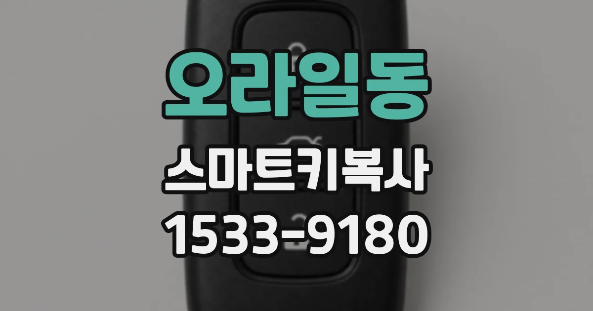 오라일동 스마트키복사
