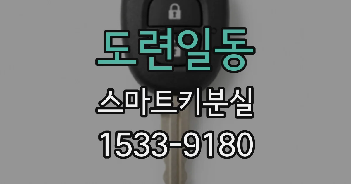 도련일동 스마트키분실