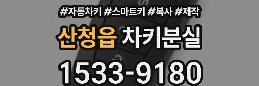 산청읍 차키분실