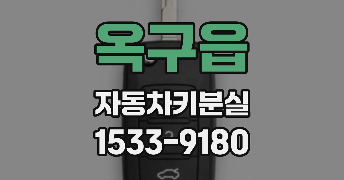 옥구읍 자동차키분실