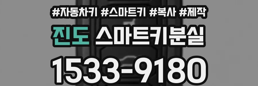 진도 스마트키분실
