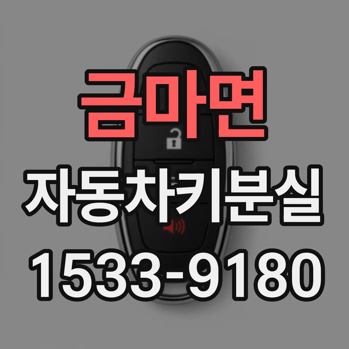 금마면 자동차키분실