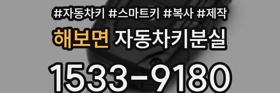 해보면 자동차키분실
