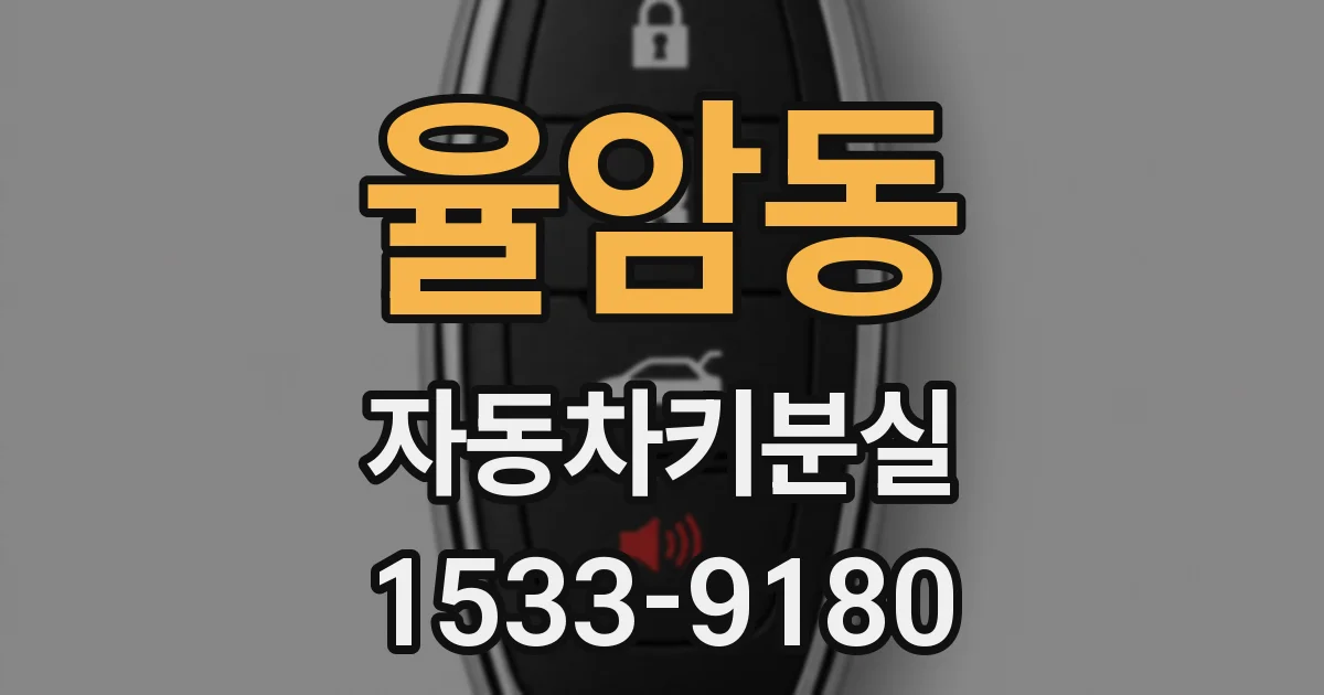 율암동 자동차키분실