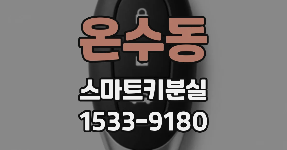 온수동 스마트키분실