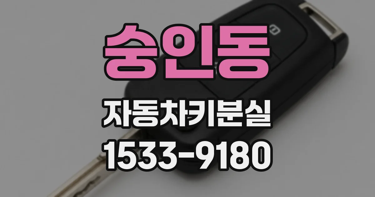 숭인동 자동차키분실