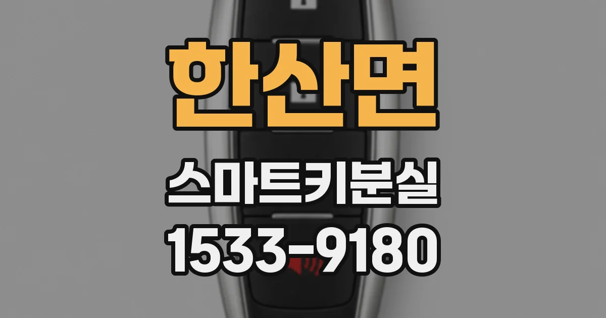 한산면 스마트키분실