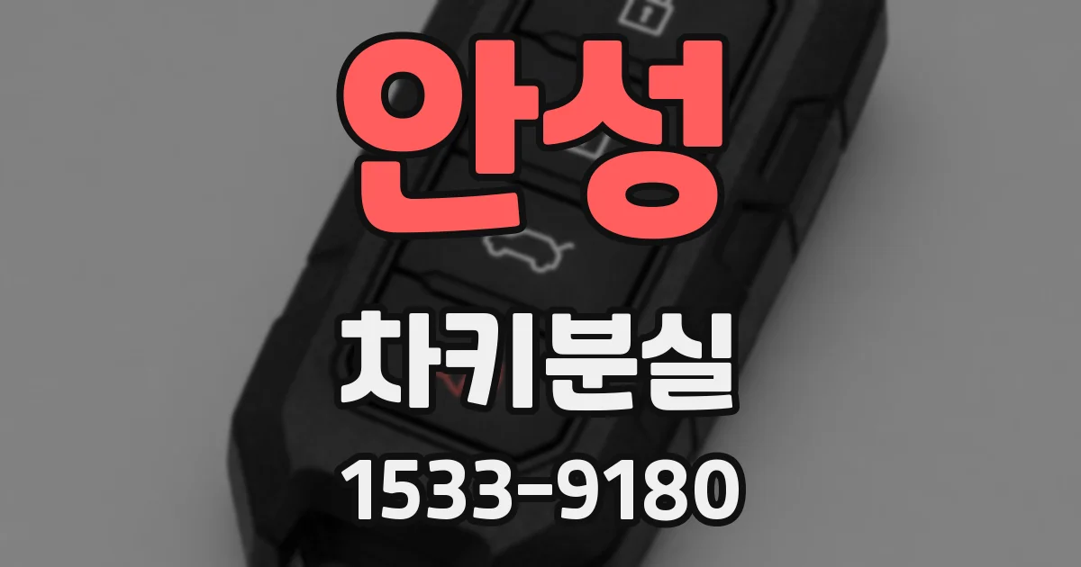 안성 차키분실
