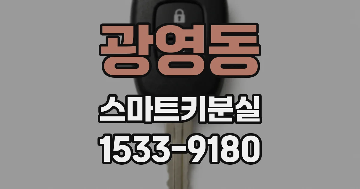 광영동 스마트키분실