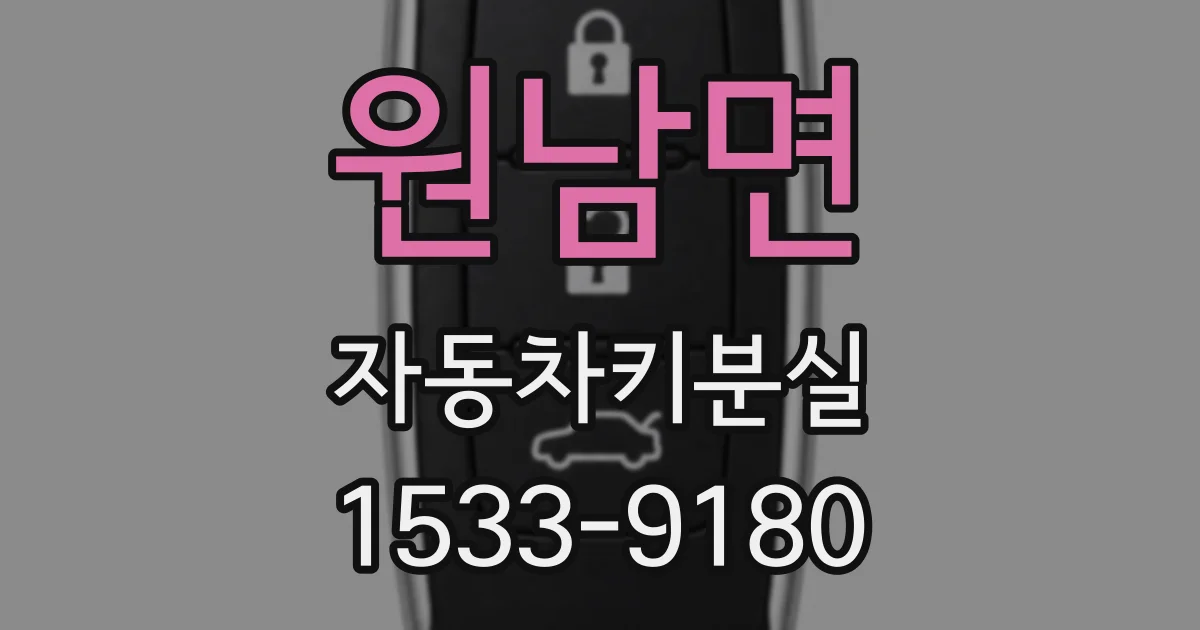 원남면 자동차키분실