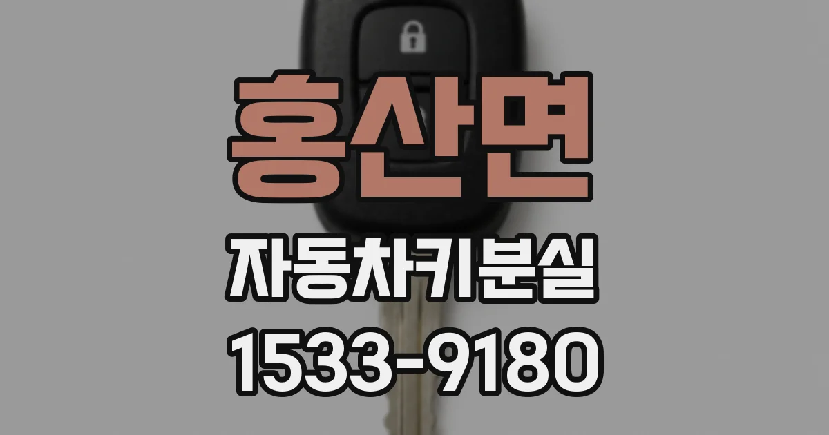 홍산면 자동차키분실