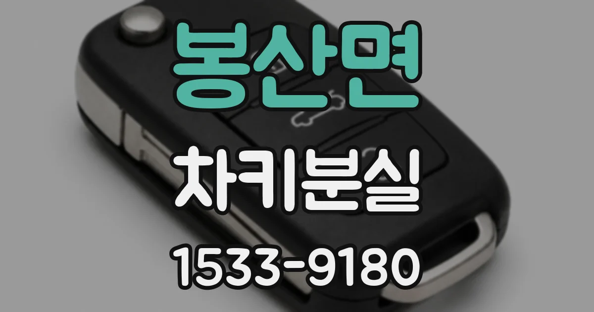 봉산면 차키분실