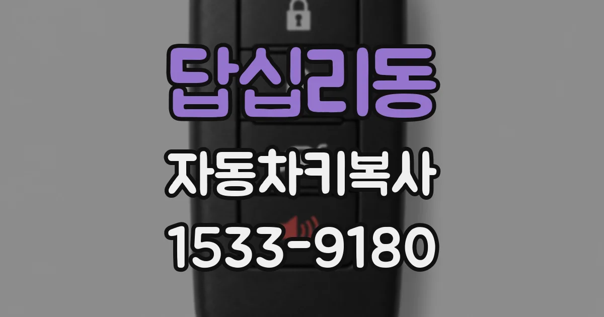 답십리동 자동차키복사