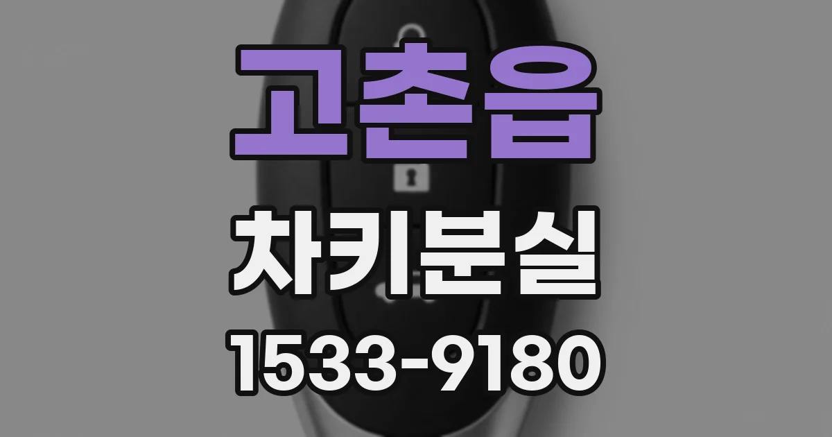 고촌읍 차키분실