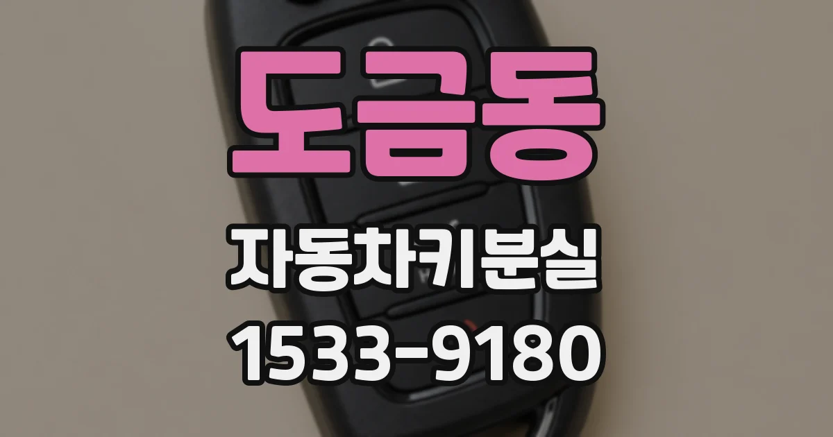 도금동 자동차키분실