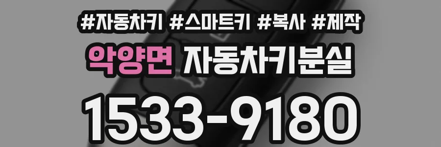 악양면 자동차키분실