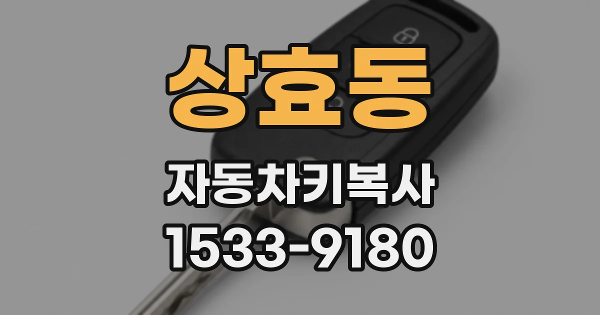 상효동 자동차키복사