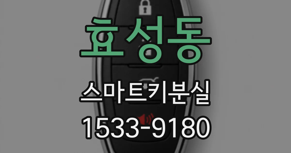 효성동 스마트키분실