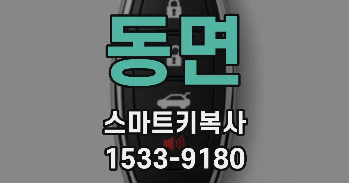 동면 스마트키복사