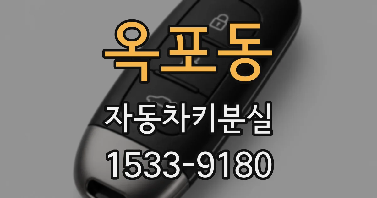 옥포동 자동차키분실