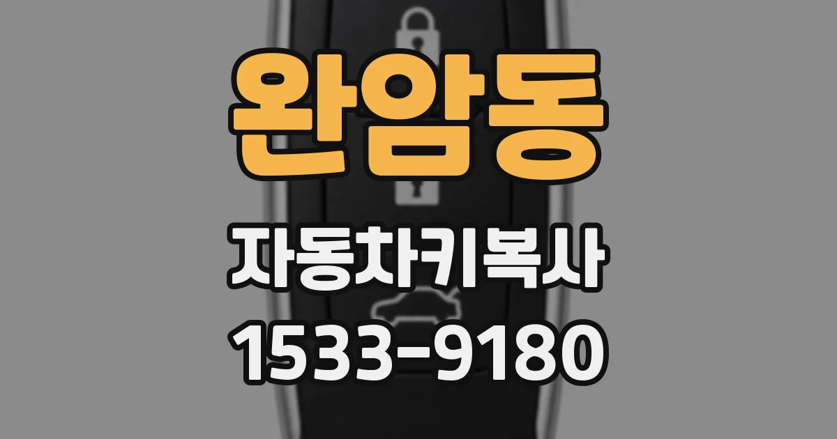 완암동 자동차키복사