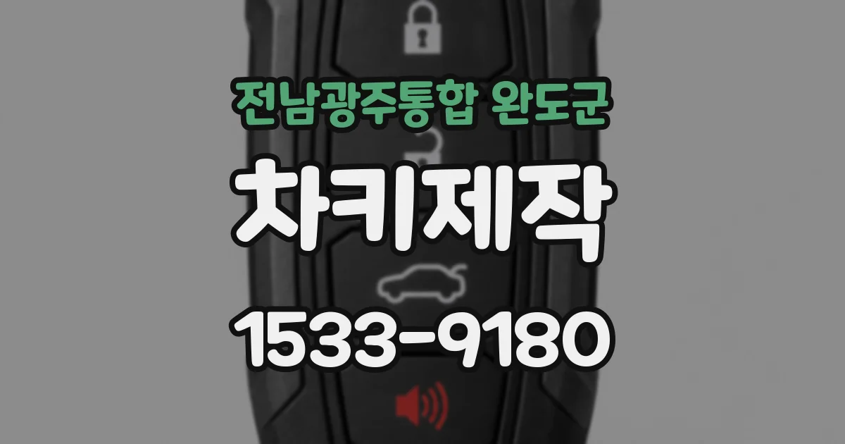 전남광주통합 완도군 차키제작