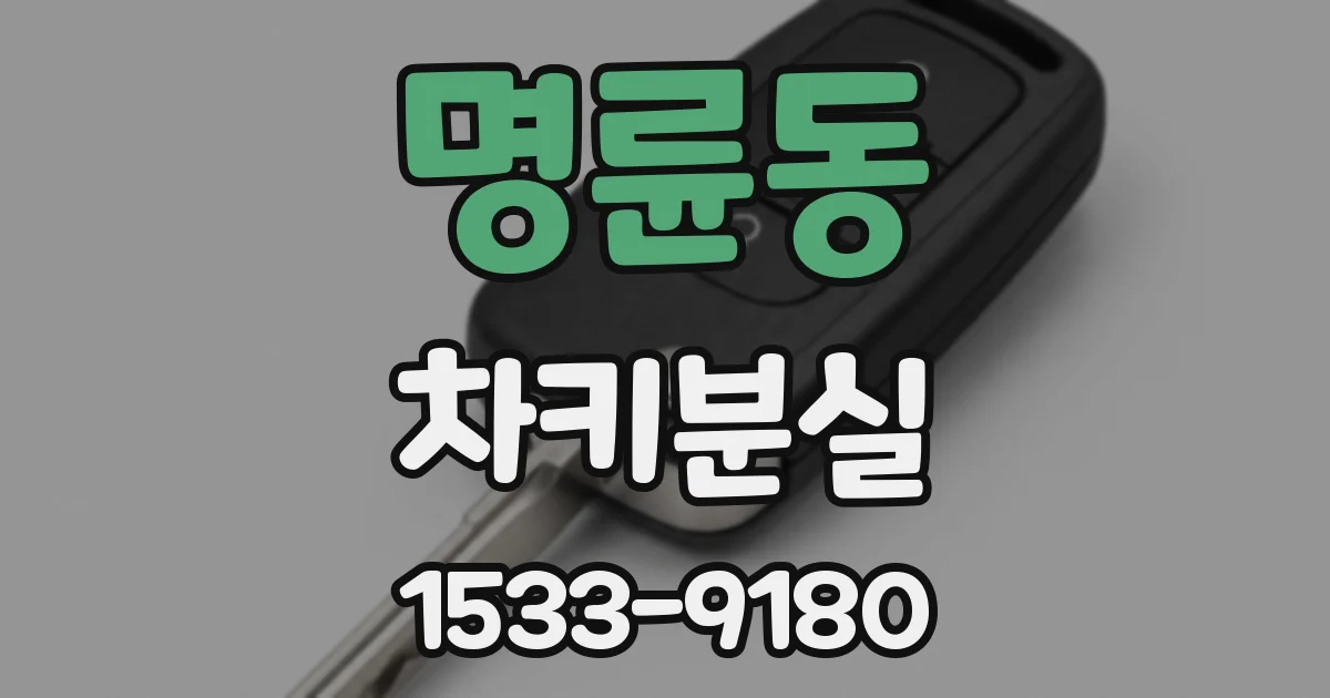 명륜동 차키분실