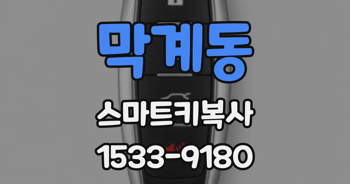 막계동 스마트키복사